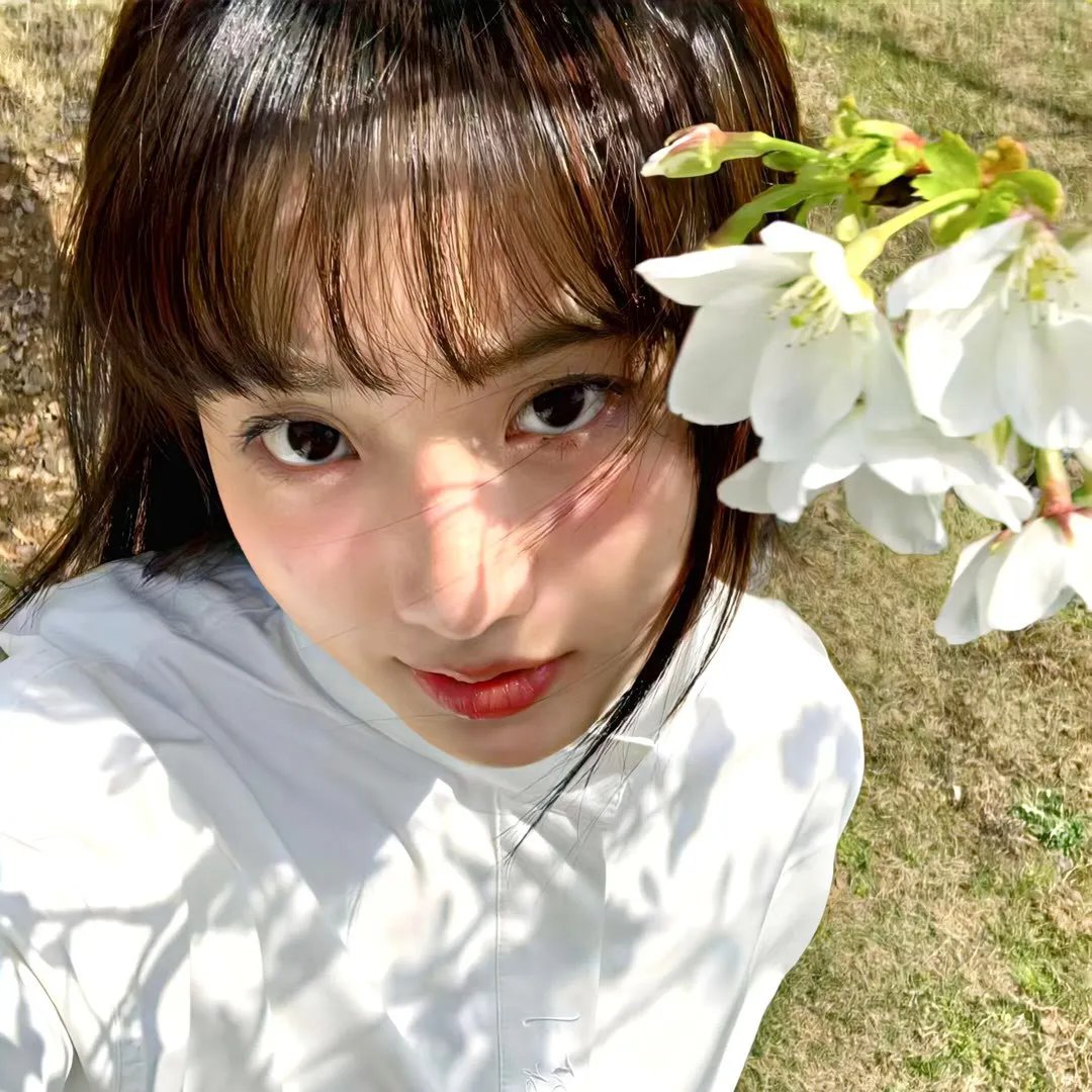 拯救小鼠拉菲